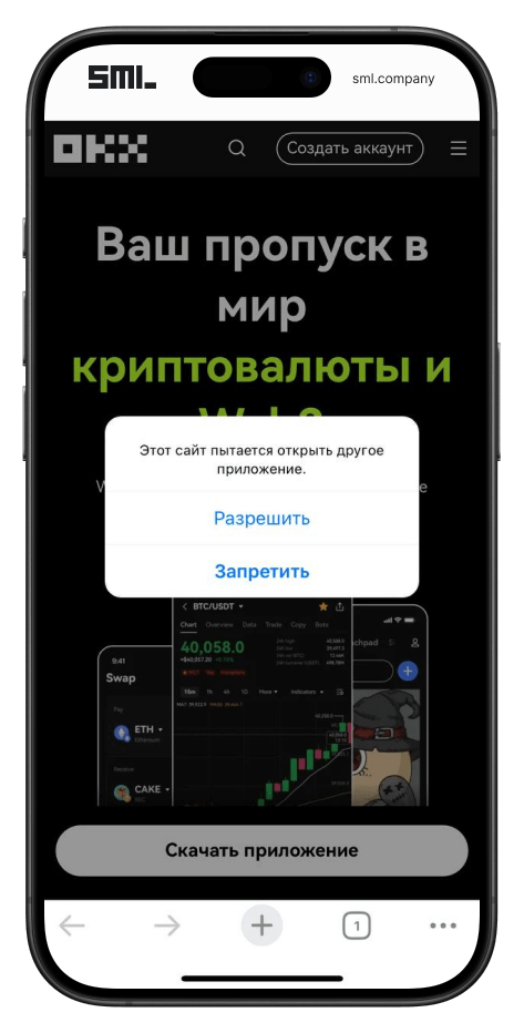 Инструкция по подключению OKX-wallet к Catizen 25 июля, пункт 3/6 • SML